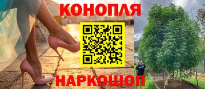 хмурый Краснодар