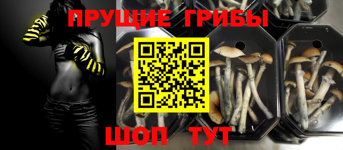 Cocaine  LSD-25  Старая Русса  A PVP СОЛЬ кристаллы  Бошки Шишки  ГАШИШ  Вход с VPN  MDMA  Мефедрон  